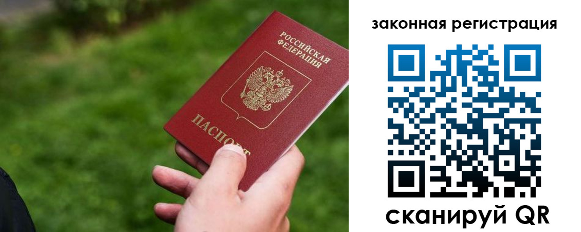 прописка законно в Мончегорске